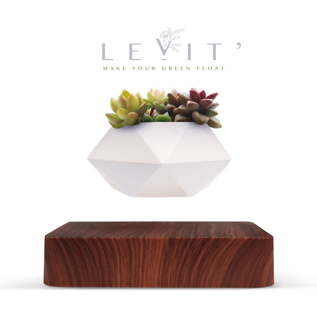 【在庫限り】Levit'