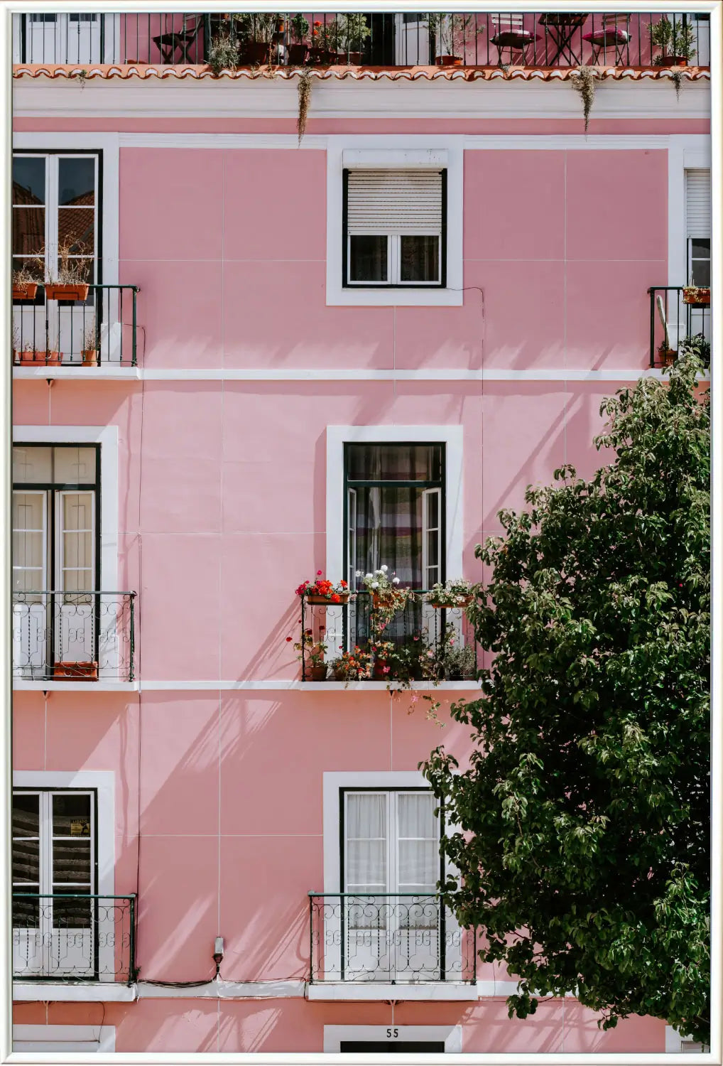 Immeuble en rose アートポスター
